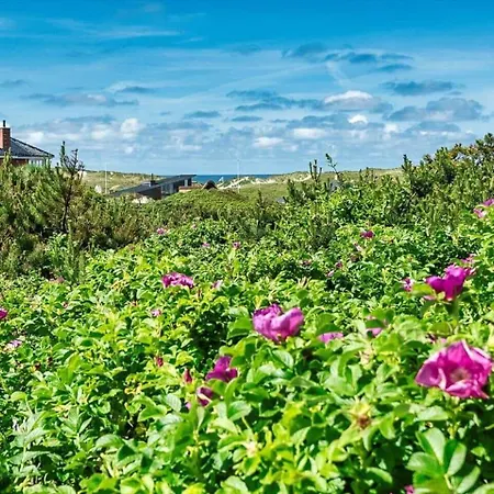 Ve111-vejers-strand-nordvej-9-a * Vejers Strand